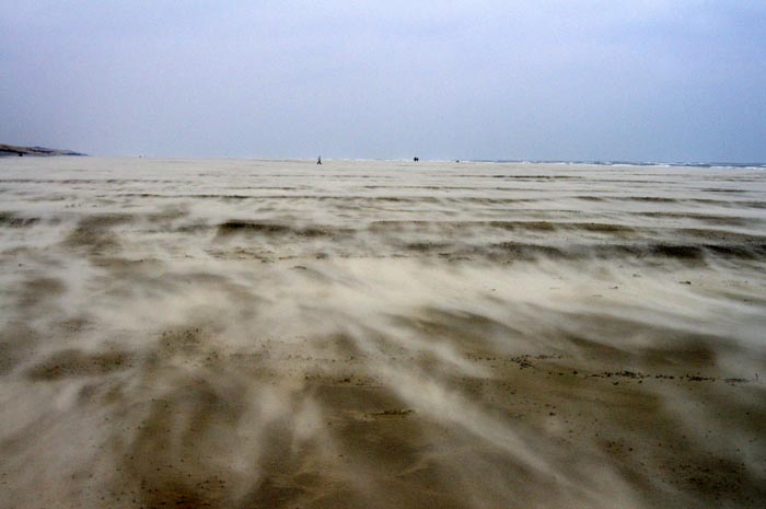 Juist_03-2013_008