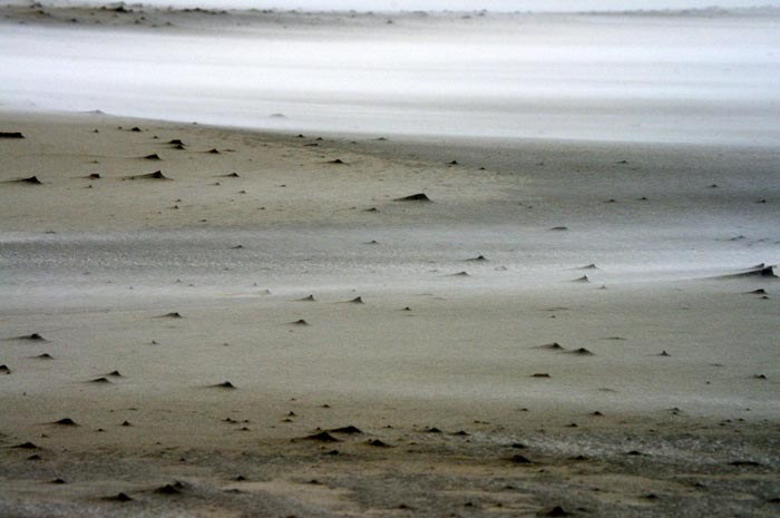 Juist_03-2013_012