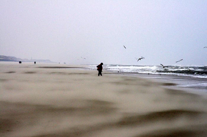 Juist_03-2013_021