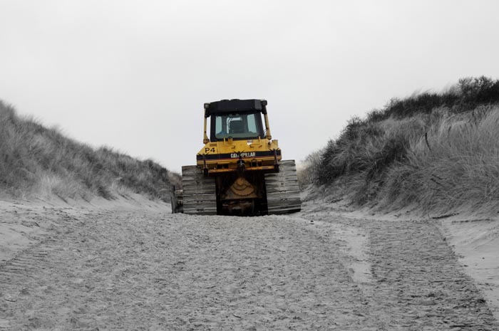 Juist_03-2013_029