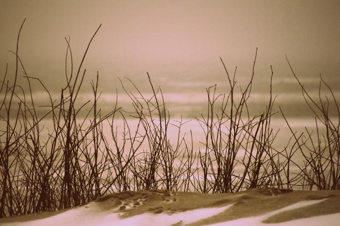Juist_03-2013_039