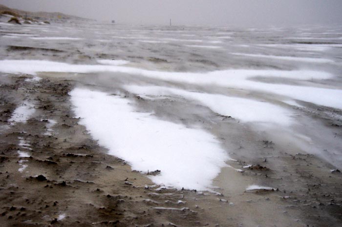 Juist_03-2013_060
