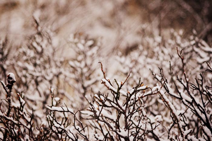 Juist_03-2013_093