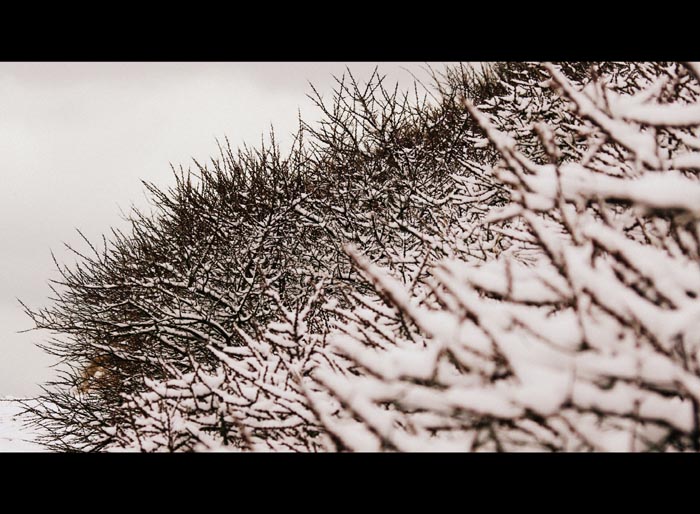 Juist_03-2013_103