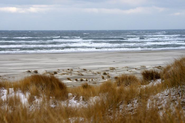Juist_03-2013_112