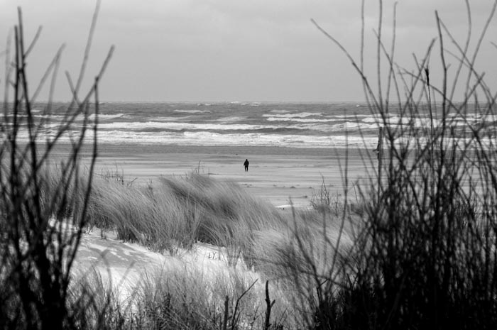 Juist_03-2013_115c