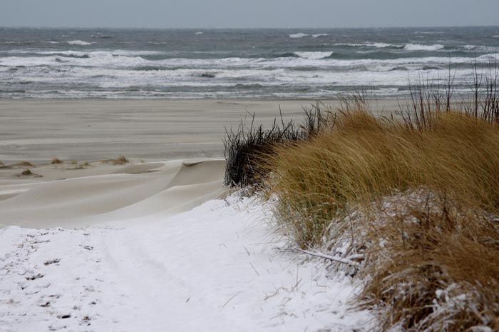 Juist_03-2013_117