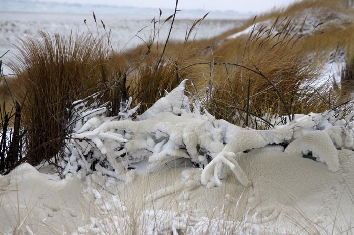 Juist_03-2013_124