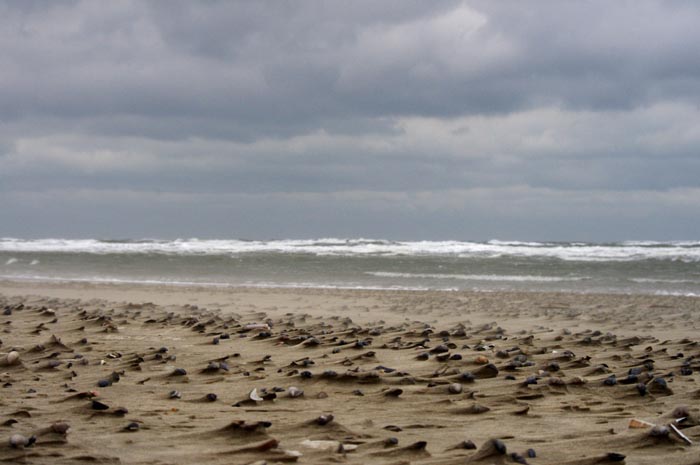 Juist_03-2013_150