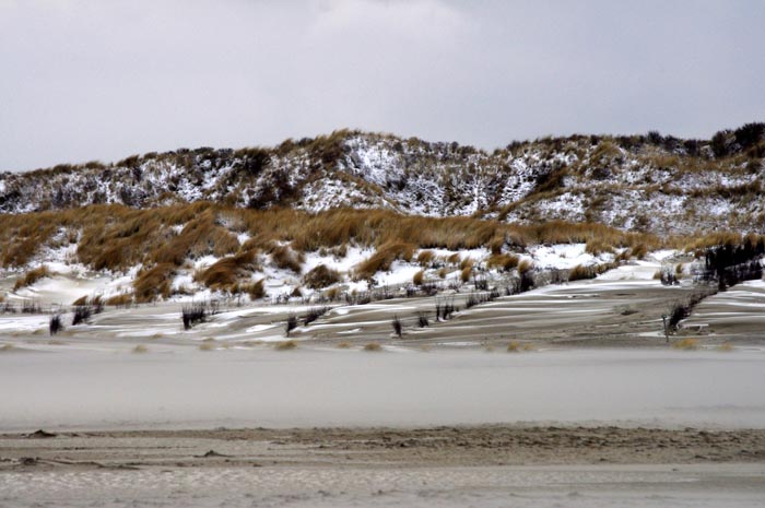 Juist_03-2013_155