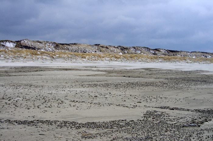 Juist_03-2013_156