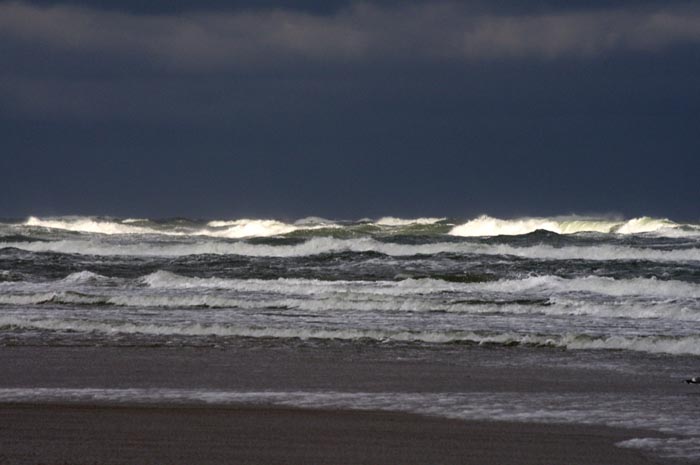 Juist_03-2013_208