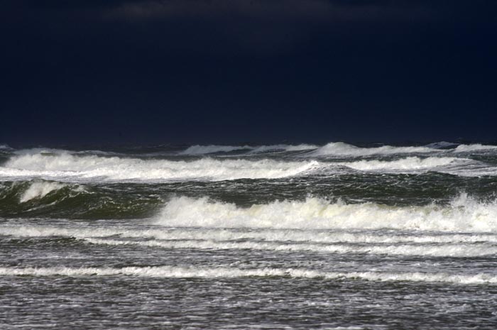 Juist_03-2013_237