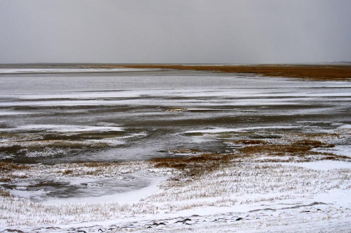 Juist_03-2013_289