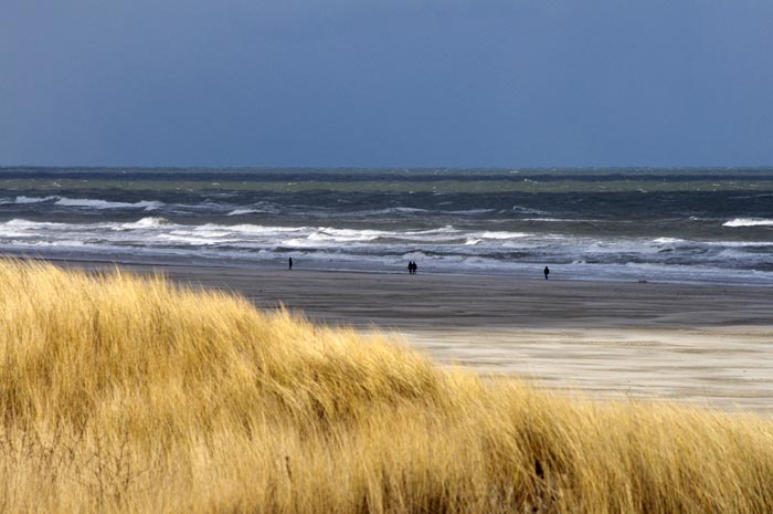 Juist_03-2013_341