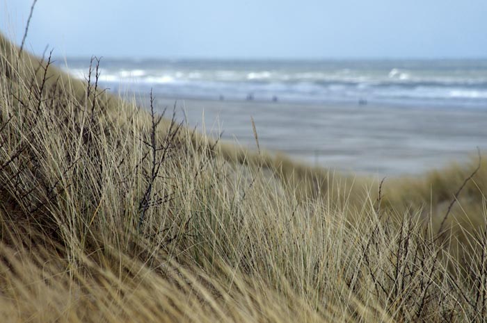Juist_03-2013_373