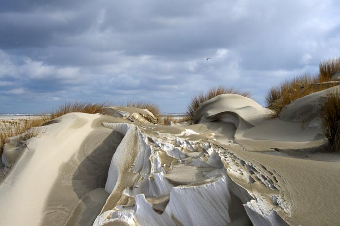 Juist_03-2013_383