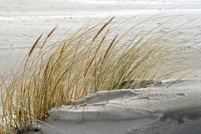 Juist_03-2013_388