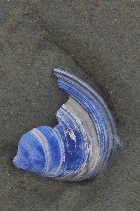 Juist_03-2013_410