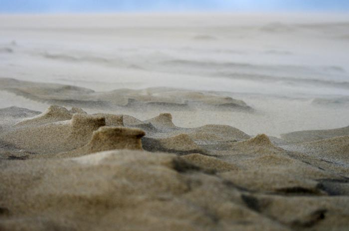 Juist_03-2013_429