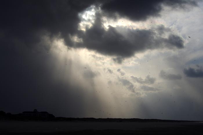 Juist_03-2013_464