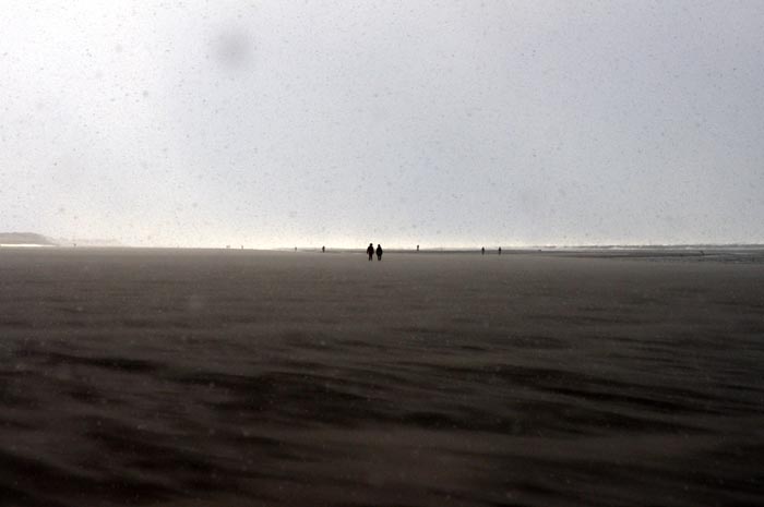 Juist_03-2013_466