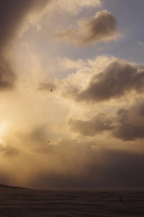 Juist_03-2013_526